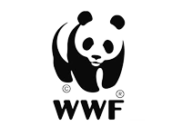 WWFへ